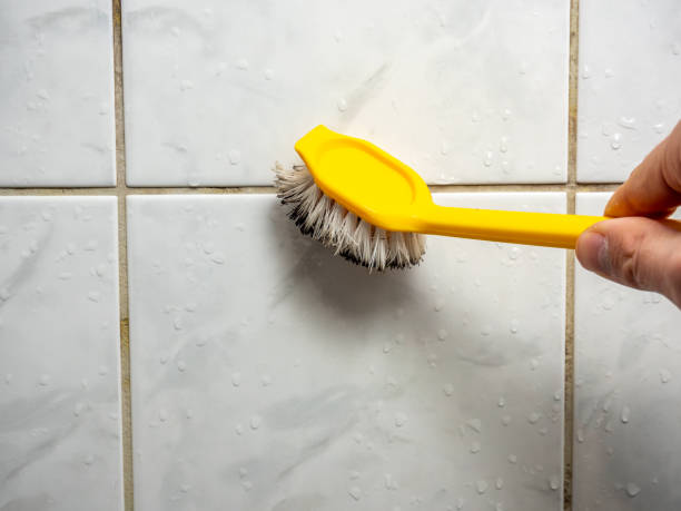 Best Mold Cleaning Services  in Greenock, PA