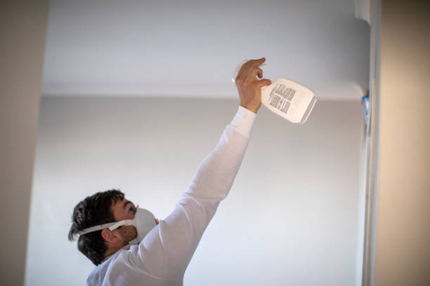Best Best Mold Removal Companies  in Greenock, PA